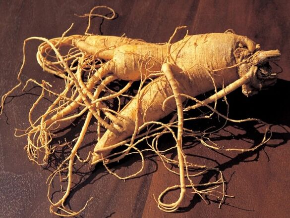 La raíz de ginseng
