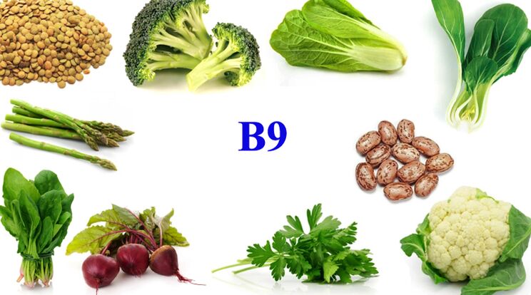 vitamina B9 en el producto para la potencia